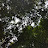 @ASTROBOY___0207 Avatar