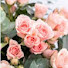 hubqSCg0XS4-channel-avatar-♡Nayla_fathima!! 