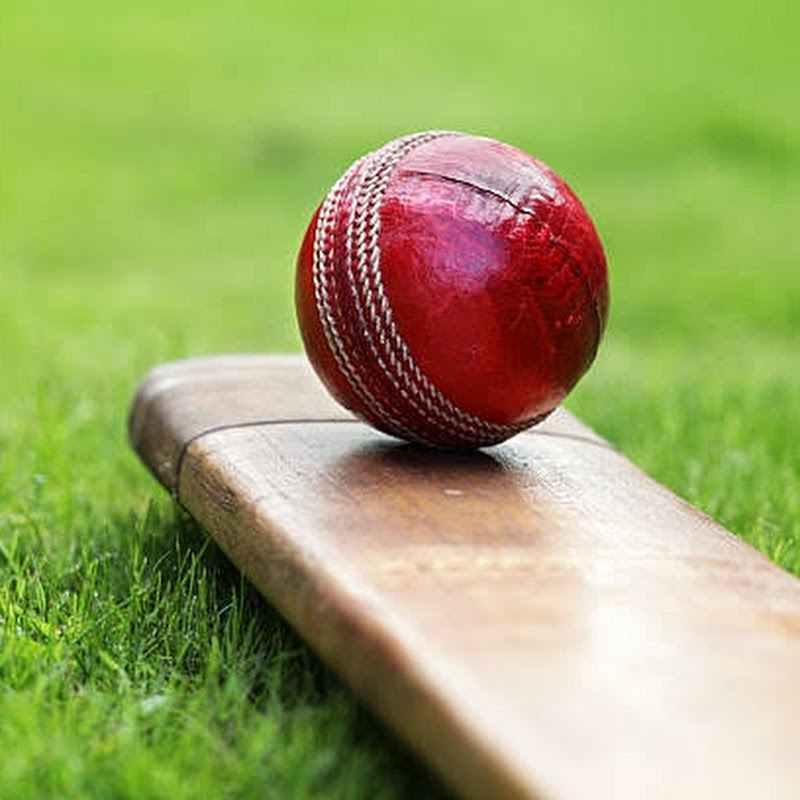 Hire Beauty Of World — Sports News & Commentary YouTube creator for sponsorships