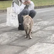ねこやなぎ