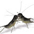 TKgy5vvXnw0-channel-avatar-Kung_Fu_Crickets