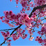 sKoB544WWcc-channel-avatar-暖暖的輕旅 Warm Wander