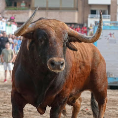 suerte y cornadas para todos