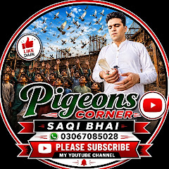 pigeons Corner