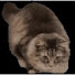 LiHloe4i1KY-channel-avatar-Jog
