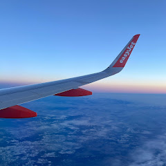 Just plane wings