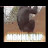 @monkiflip3334