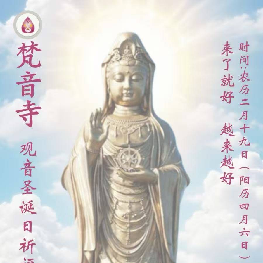 苦い銭('16仏/香港) hqdefault.jpg