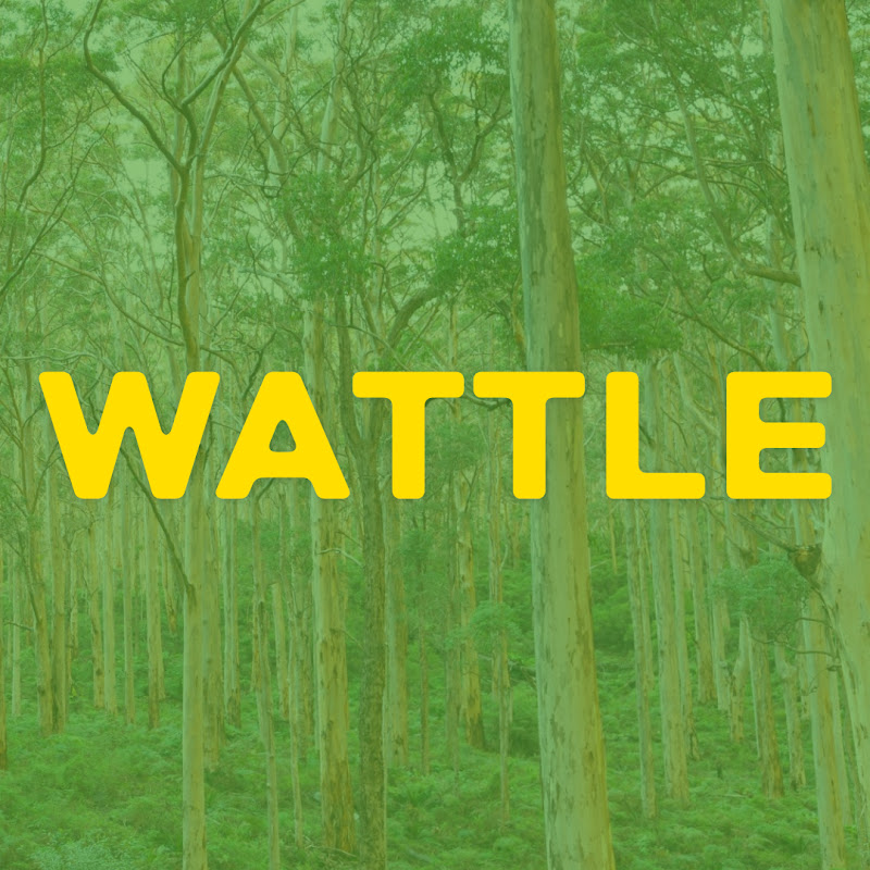 Wattle Media