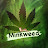 @minkweed4080