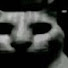 23kbz6e56WA-channel-avatar-Cat36