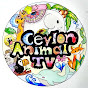 Ceylon Animal TV