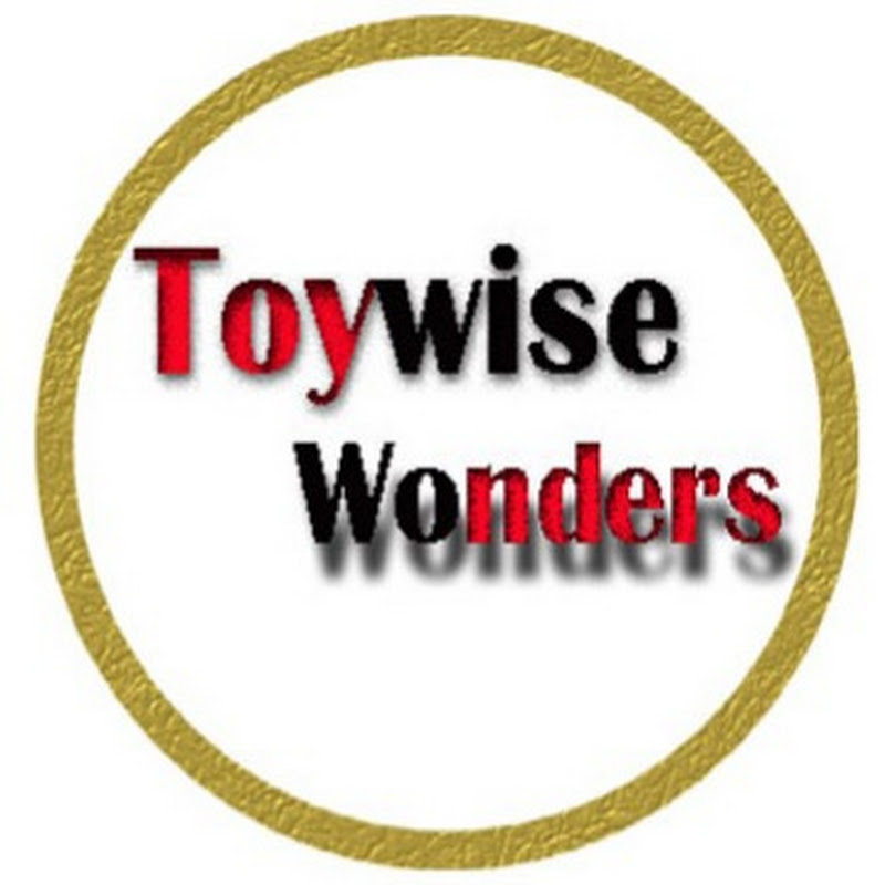 ToyWise Wonders