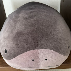 こだわらない日常botアイコン画像