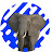 @Elephantmemez