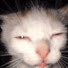 G4jLGZ5EmLM-channel-avatar-Veron