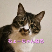 腸‼️聞いてない、ちょーちゃんねる