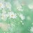 @제제512