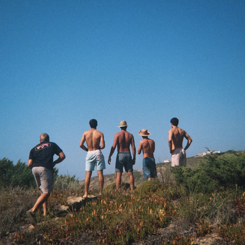 Seckos