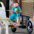 Sa9K-fET0U0-channel-avatar-Baby Monkey Cutis