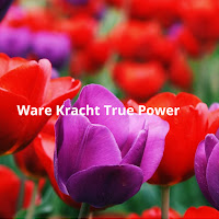 Profile Picture of Ware Kracht True Power