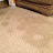 TheCarpetStain