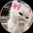@Malak_Hussein91