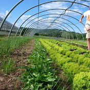 Modern Farmers