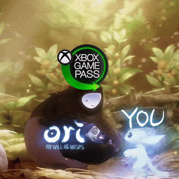 VQy5KHcLhkGZwFXnQ6Nx815nLVfioqyjH6ALFqLY