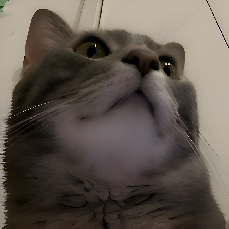 CatStation