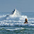 Fishing Noosa