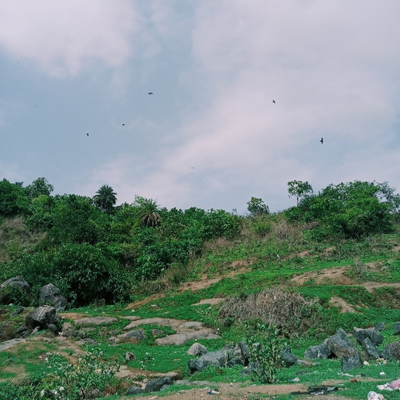 शेतकरी राजा