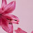 @belkisabdulrauf-g6f