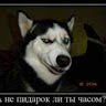 Автор