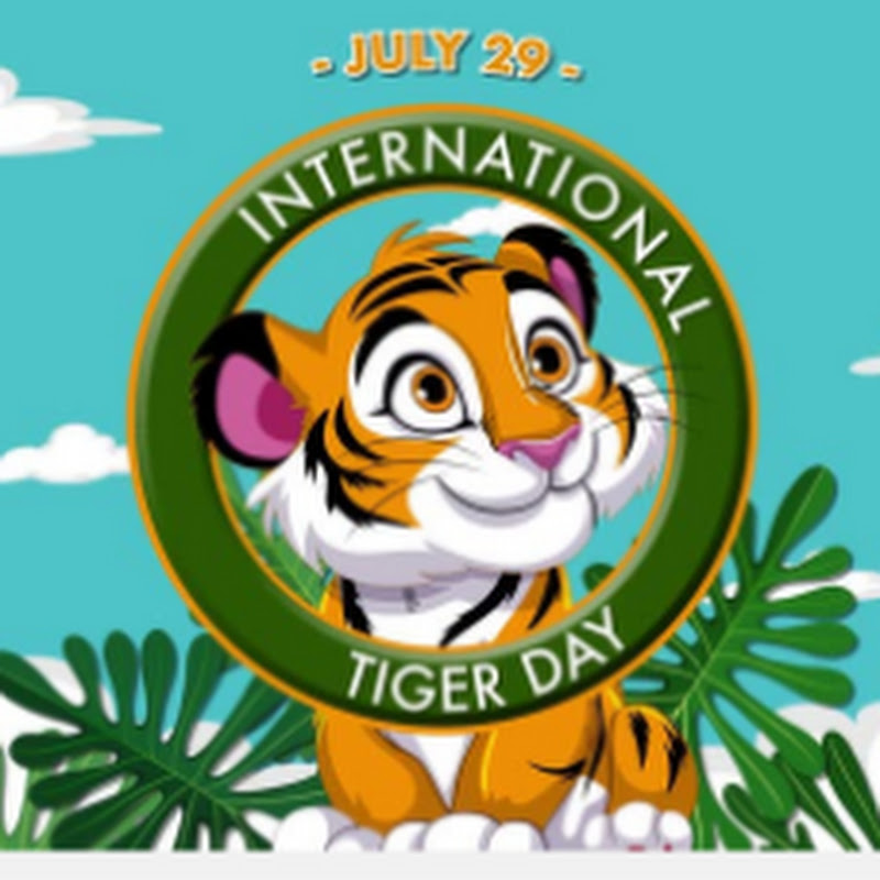 บ่าวบ้านนา.ชาแนล.ຊ້ອງສາລະຄະດີ.ຊາແນວ.