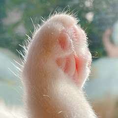 【公式】ぐぅぱちちゃんねるアイコン画像
