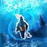 LpAzZqlcdyQ-channel-avatar-Ostrich