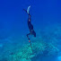 DzM8BiJGT0g-channel-avatar-Spear Aloha