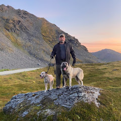  Жизнь Петровича в США / Life of Petrovich in USA net worth