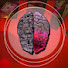 Ms91EY9ICR8-channel-avatar-دكتور فيلو