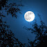 tESvq2J1Lk4-channel-avatar-LunarMoon2005