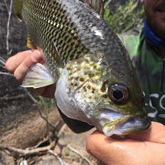 Out There Fishing Adventures