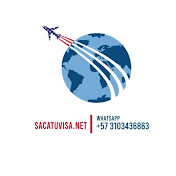 Visa Experts