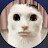 @omar-e8j Avatar