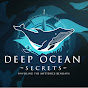 Ocean's Hidden Realms logo
