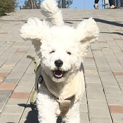 채널썸네일