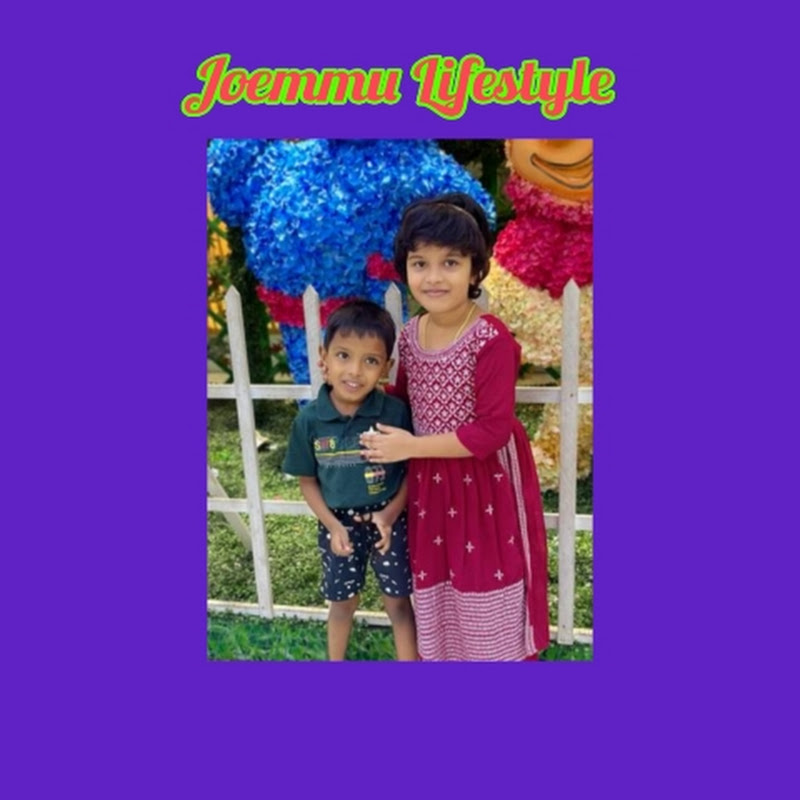 Joemmu Lifestyle 