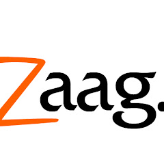 Zaag Media net worth