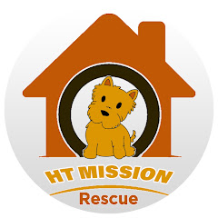 Rescue Mission HT net worth