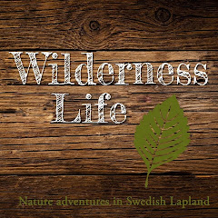 Wilderness Life Lappland